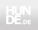 Deutsch Drahthaar