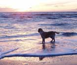 Tipps f�r Reisende