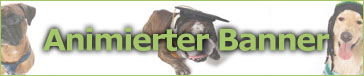 Banner Vorschau