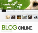 Hunde.de Blog Hunde.de Blog