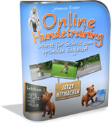 Online Hundetraining