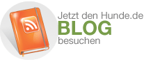 Blog Button