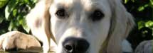 Aktuelle Umfrage