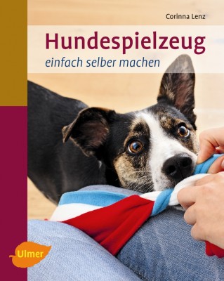 Hundespielzeug einfach selber machen