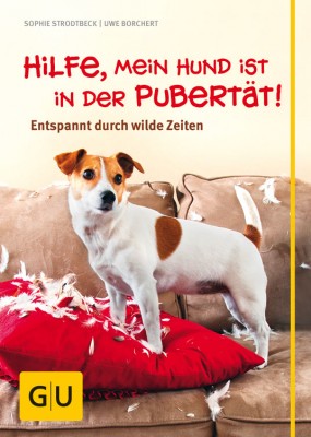 Hilfe, mein Hund ist in der Pubertät!