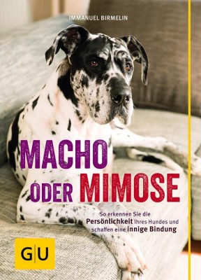 Macho oder Mimose