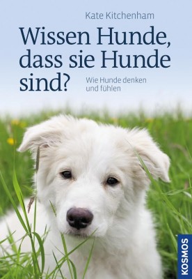 Wissen Hunde, dass sie Hunde sind?