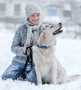 Hund gesund im Winter