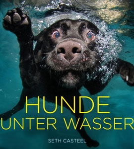 Hunde unter Wasser: Der Bildband