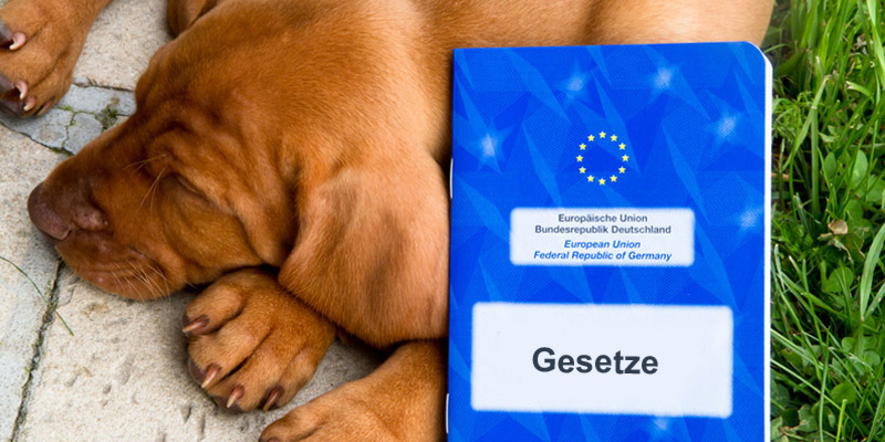 Hundegesetze in Deutschland